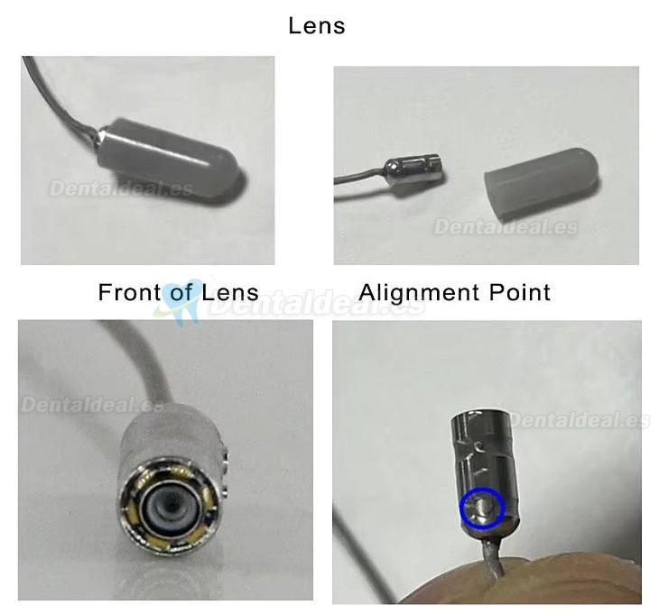 C&aacute;mara Intraoral Dental Digital con Cable 6 LEDs Enfoque Autom&aacute;tico